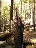 yosemite_hand.jpg