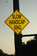 SlowHandicapXing.jpg