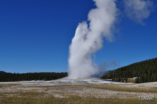 Old Faithful
