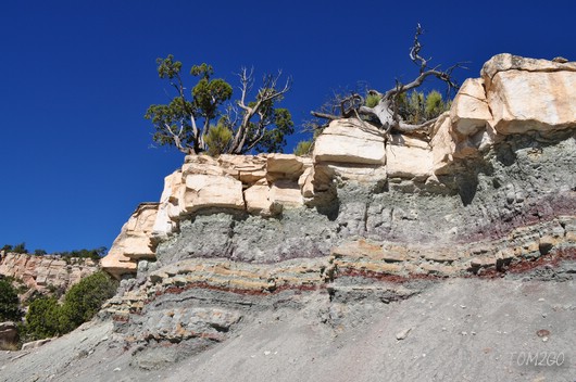 Colorado NM
