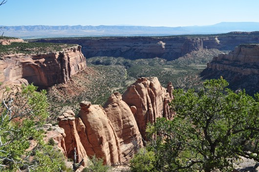 Colorado NM
