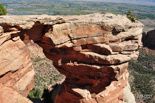 Window Rock
