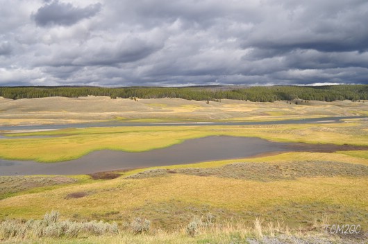 Hayden Valley
