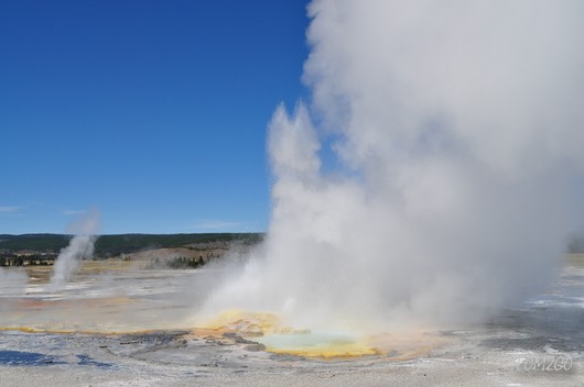 Jelly Geyser
