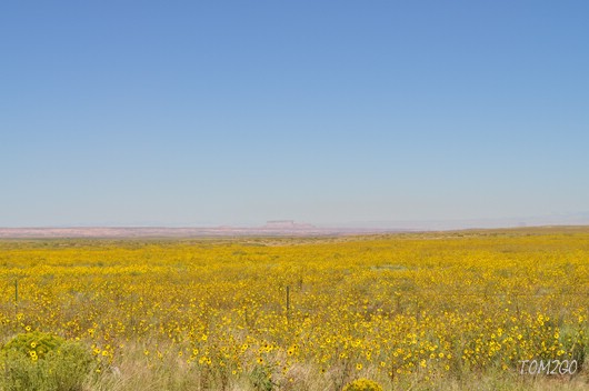 compressed_DSC_0838.jpg
