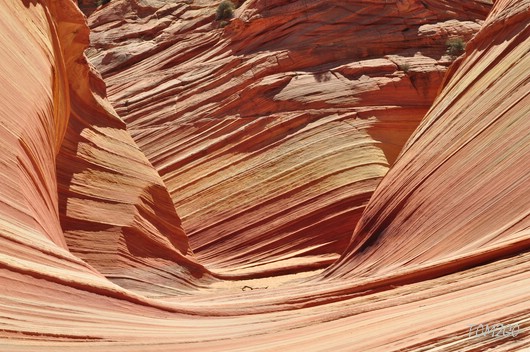 compressed_DSC_0842.jpg