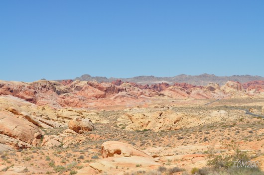 compressed_DSC_1040.jpg