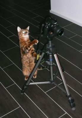 Unser Star-Fotograf ;)
