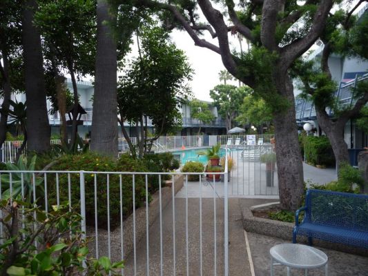 P1000232.JPG