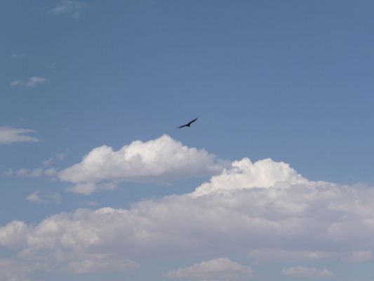 P1000353.JPG