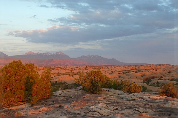 USA08RB_0130.jpg