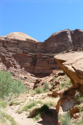 USA08RB_0092.jpg