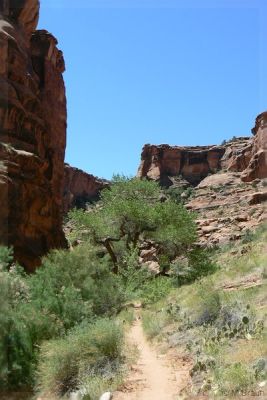 USA08RB_0093.jpg
