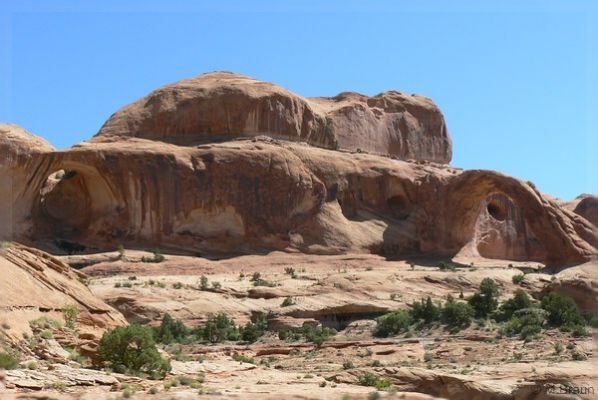 USA08RB_0107.jpg