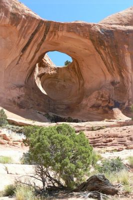 USA08RB_0114.jpg