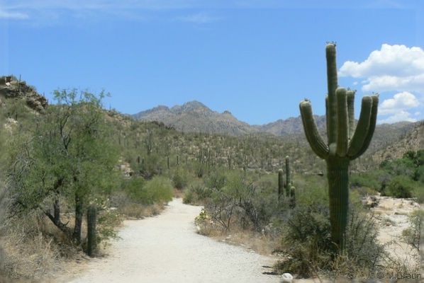 USA08RB_0184.jpg