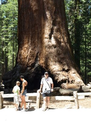 USA2010-1_164_I.jpg