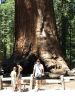 USA2010-1_164_I.jpg