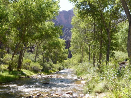 Grand Canyon
