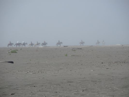 18-1.jpg