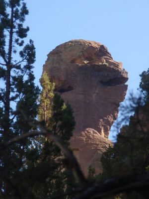 14-7.jpg