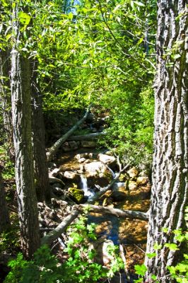 Der Weg zu Nebo´s Grotto
