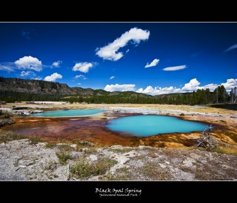 Black Opal Spring
Black Opal Spring
Yellowstone National Park
aufgenommen am 29.08.2011
Schlüsselwörter: Amerika, Geysir, USA, Yellowstone National Park, Black Opal Spring