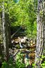 Der Weg zu Nebo´s Grotto