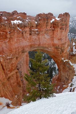 Bryce Canyon
Natural Bridge
