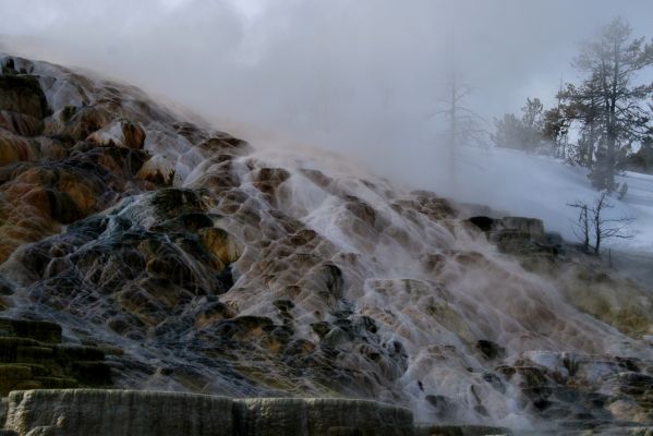 Mammoth Hot Springs
Lower Basin
Februar 2009
