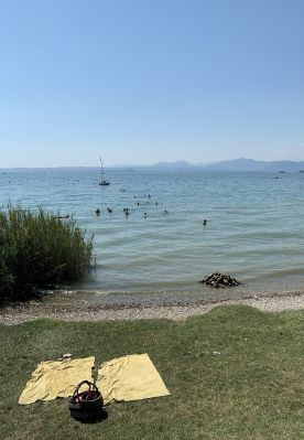 IMG_5865~0.jpg