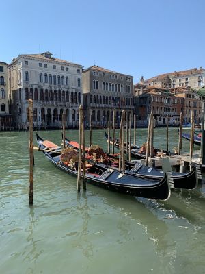 IMG_5873.jpg
