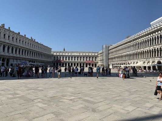 IMG_5881.jpg