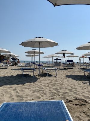 IMG_5895.jpg