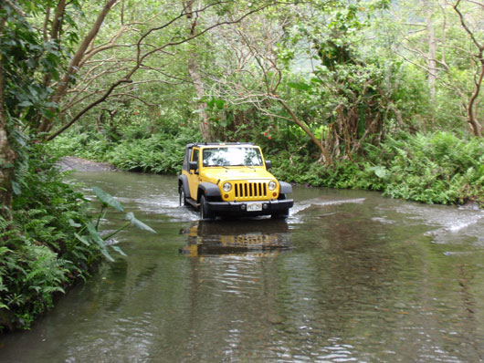 Big Island Vaipio Valley
