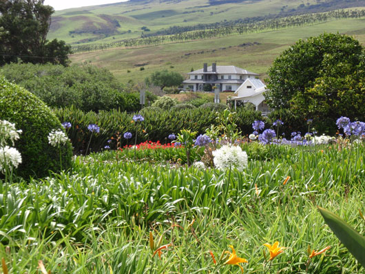 Big Island Farm Waimea
