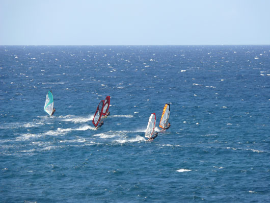 Oahu Windsurfer
