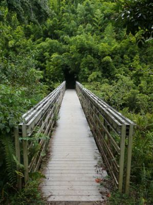 Maui Pipiwai Trail
