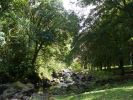 Maui_Ke_anae_Arboretum.jpg