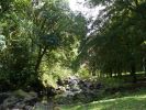 Maui Arboretum Ke'anae