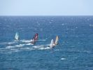 Oahu Windsurfer