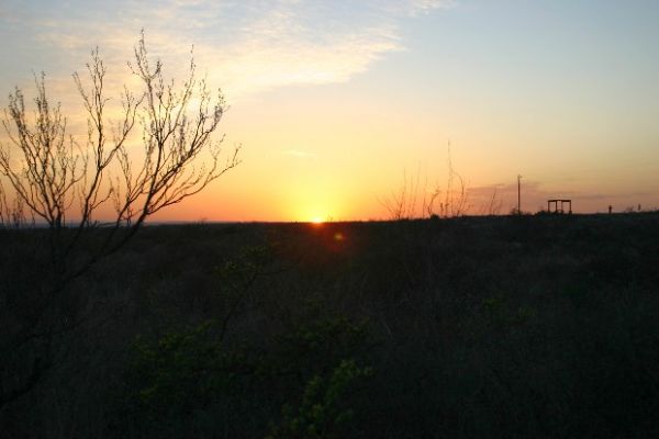 IMG_3683.JPG