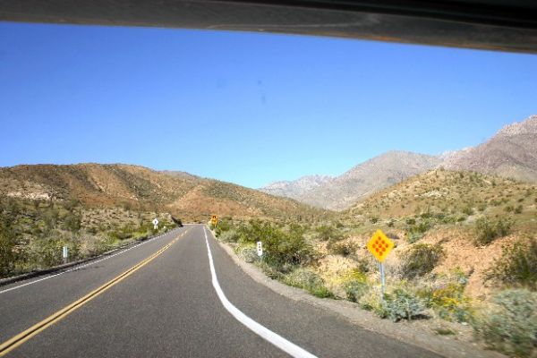 IMG_4524.JPG