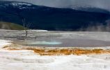 Sinter-Terrassen in Mammoth