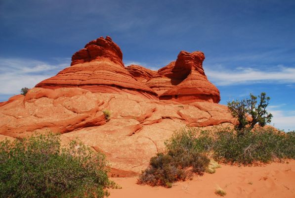 DSC_0820.JPG