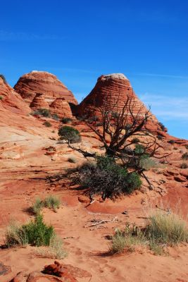 DSC_0896.JPG
