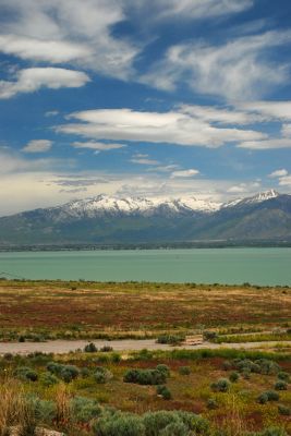 DSC_0933.JPG