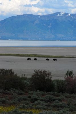 DSC_0952.JPG