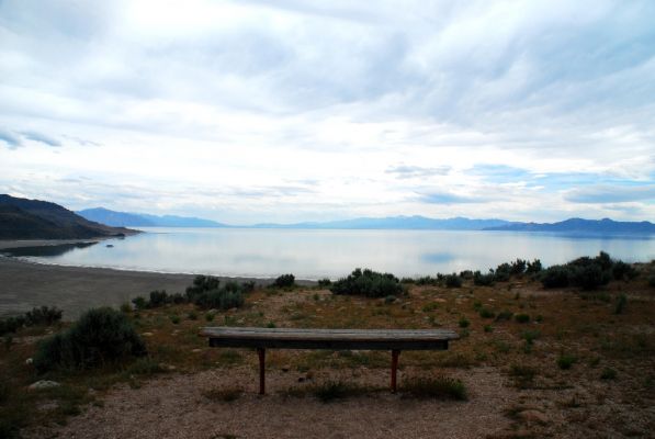 DSC_0955.JPG