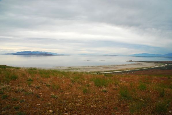 DSC_0956.JPG